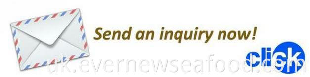 Продам маленького восьминога високої якості